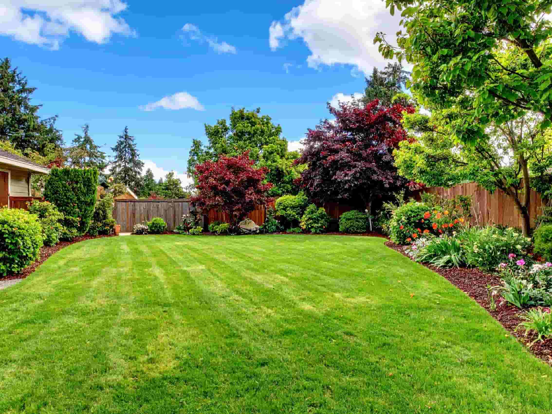 This is a landscaped garden with turf, and freshly planted flowers and shrubs in the borders.
